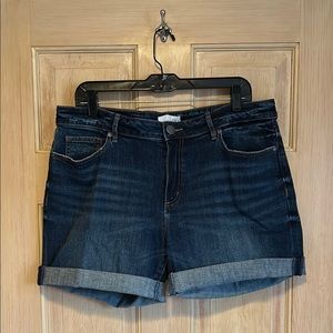 LOFT Blue Denim Shorts